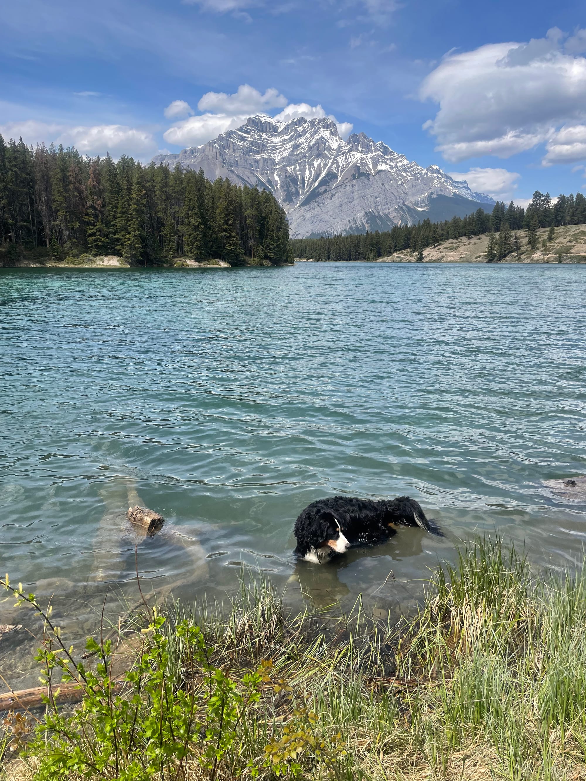 Banff Journal