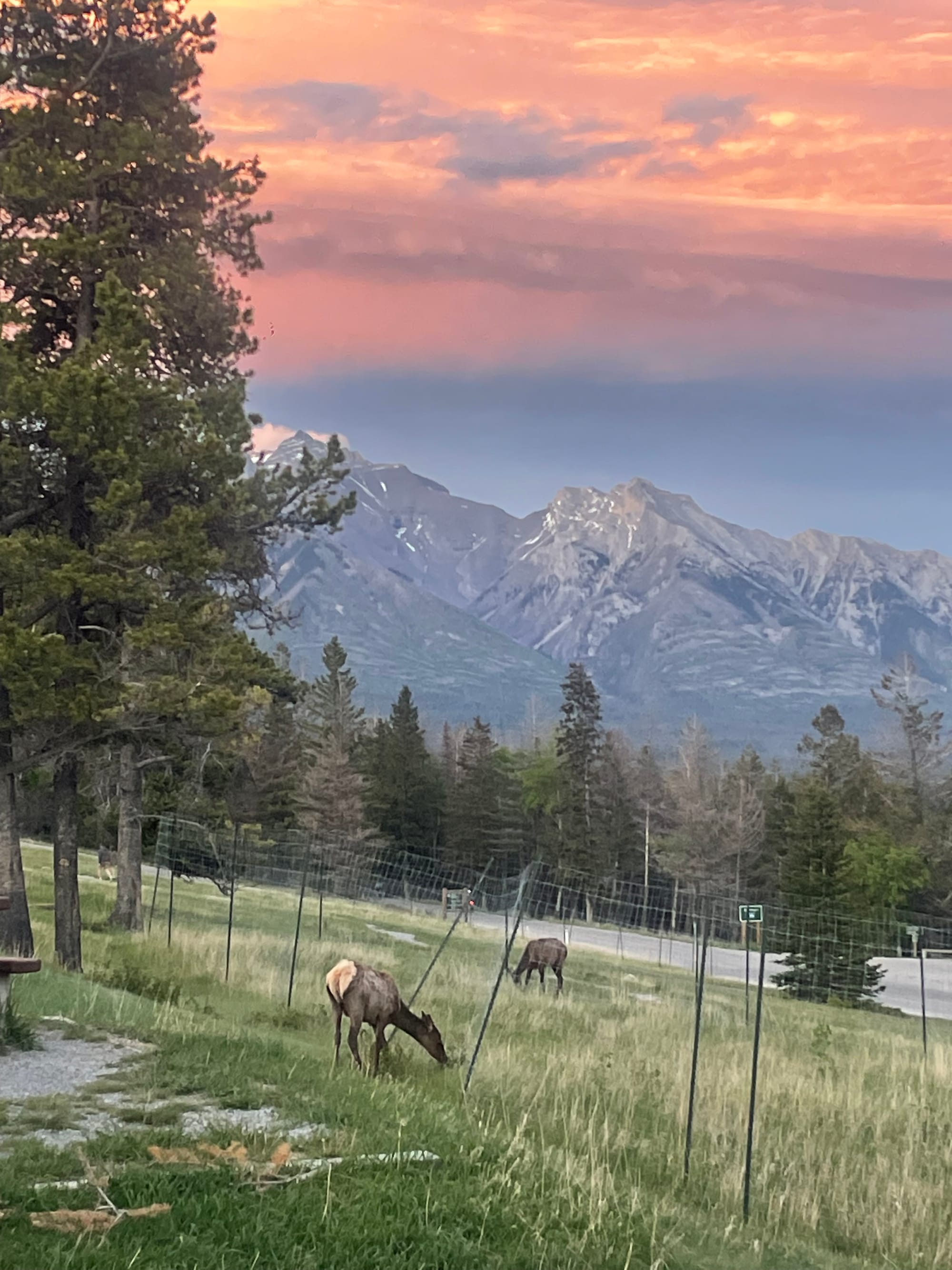Banff Journal
