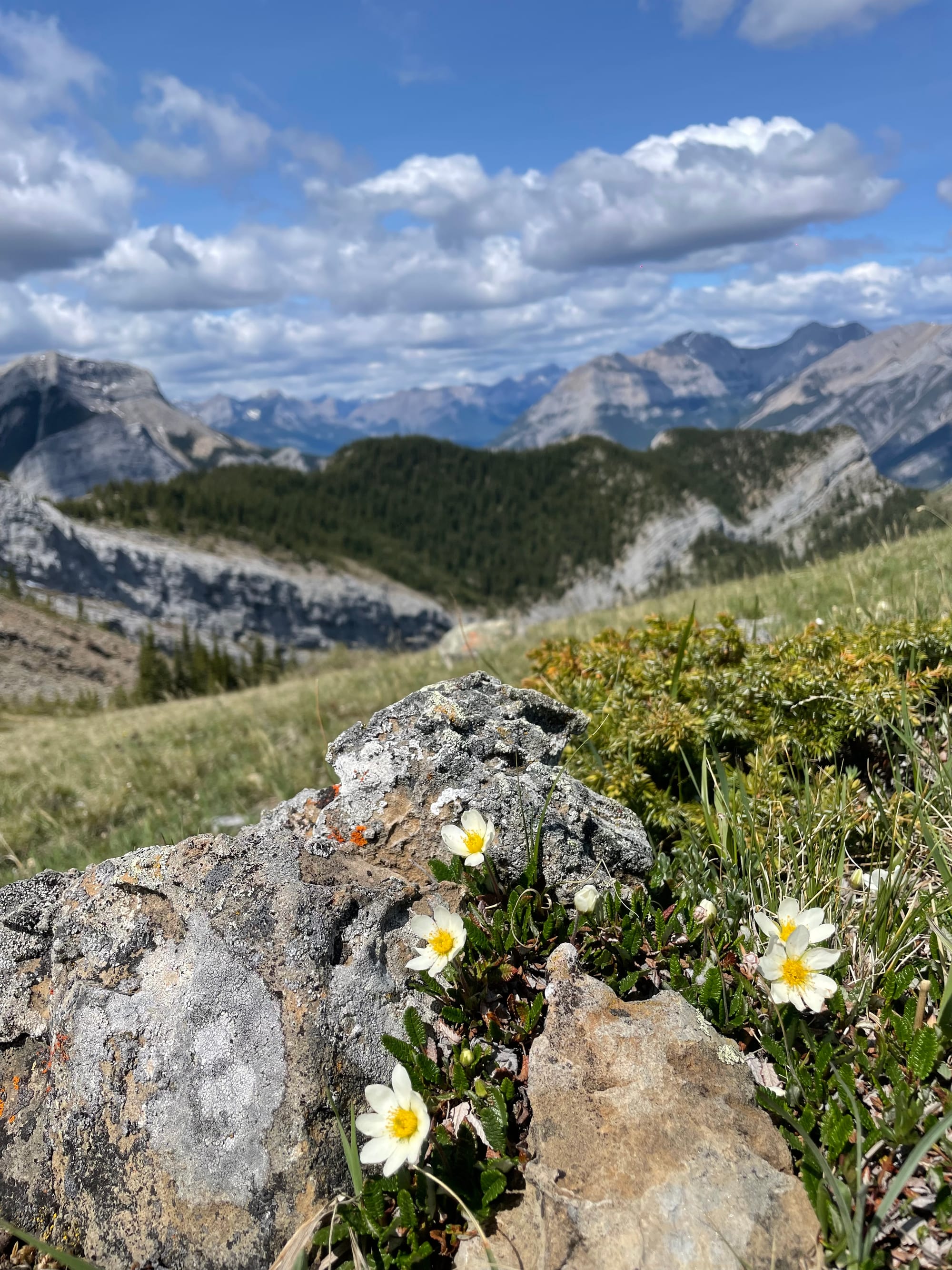 Banff Journal