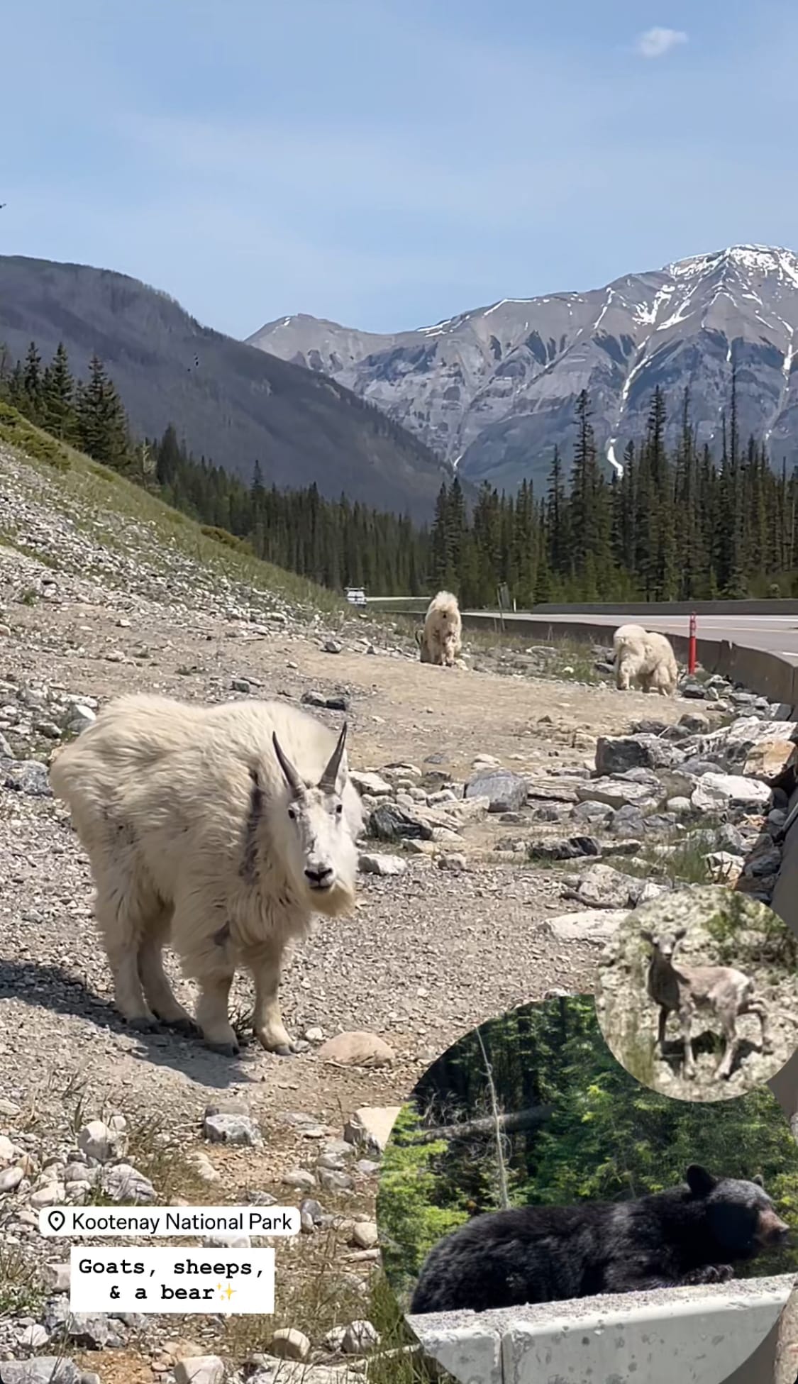 Banff Journal