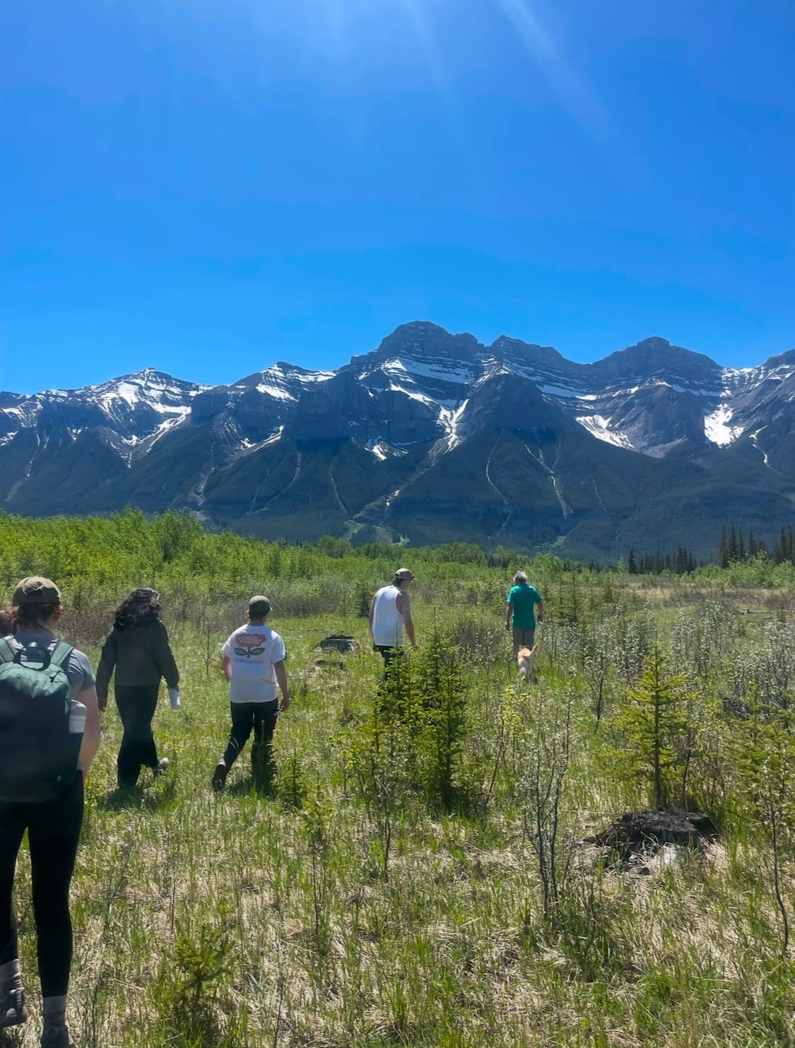 Banff Journal