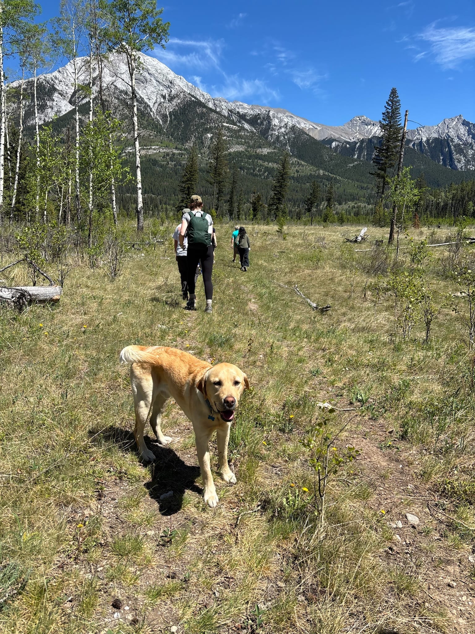 Banff Journal