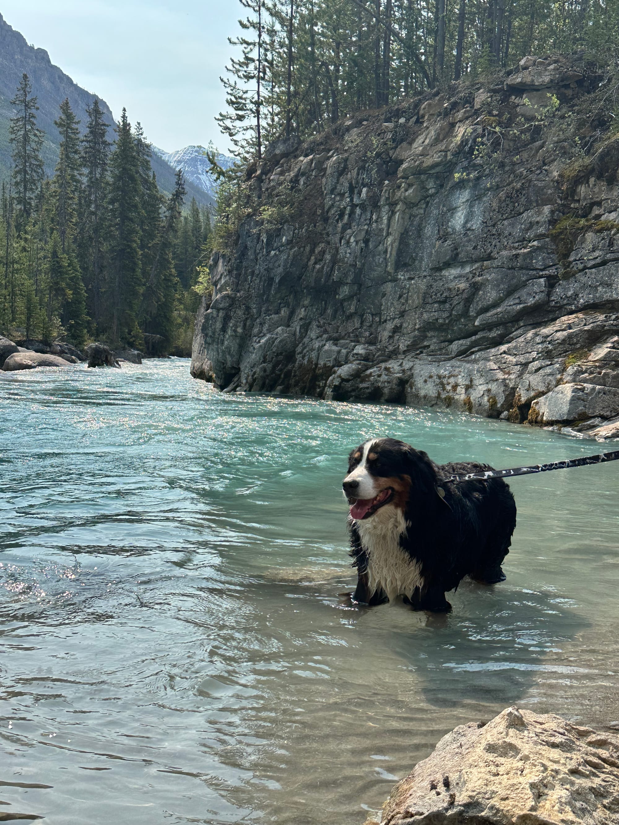 Banff Journal