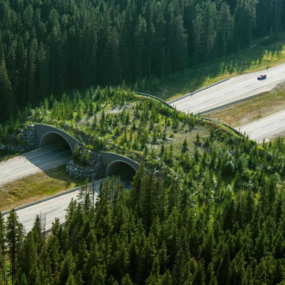 Banff Journal